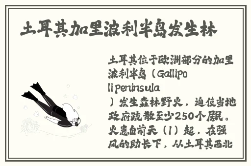 吴梦梦在粉丝家第四季的剧情介绍